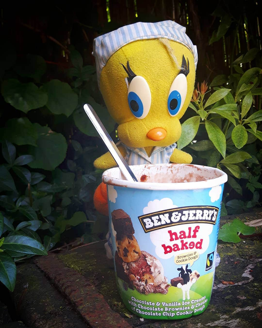 Little Yellow Birdさんのインスタグラム写真 - (Little Yellow BirdInstagram)「"Half Baked"? "Fully Melted" more likely! Grab a spoon and be quick: you need to be a fast eater in 35°C... #honeygroveteapartytuesday #littleyellowbird #tweety #tweetykweelapis #adventures #yellow #bird #tuesday #icecream #halfbaked #fullymelted #ijs #summer #hotweather #hitte #hittegolf #benandjerry #benandjerrys #sweet #cold #stuffedanimalsofinstagram #plushiesofinstagram」6月25日 22時12分 - tweetykweelapis