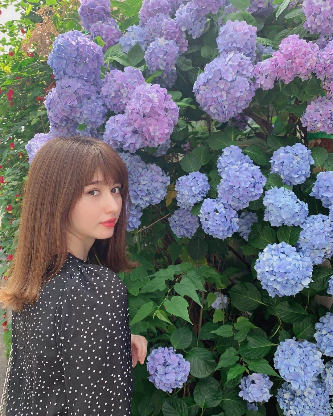 クリスティーナ菜波さんのインスタグラム写真 - (クリスティーナ菜波Instagram)「紫陽花🧞‍♂️はやく梅雨終わらないかな🌂」6月25日 22時20分 - nanami10910