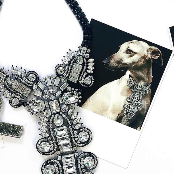 バトラー&ウィルソンさんのインスタグラム写真 - (バトラー&ウィルソンInstagram)「Mr. Pickles, Nelly and Phenny all wearing #BUTLERANDWILSON Iconic Pieces 🐶✨ Shot by @liddieholt & @huntleyhedworth 👈🏼 Swipe left • • #butlerandwilson #dogs #dogsofinstagram #puppies #bulldog #pug #whippet #jewelry #fashion #necklace」6月25日 22時45分 - butlerandwilson