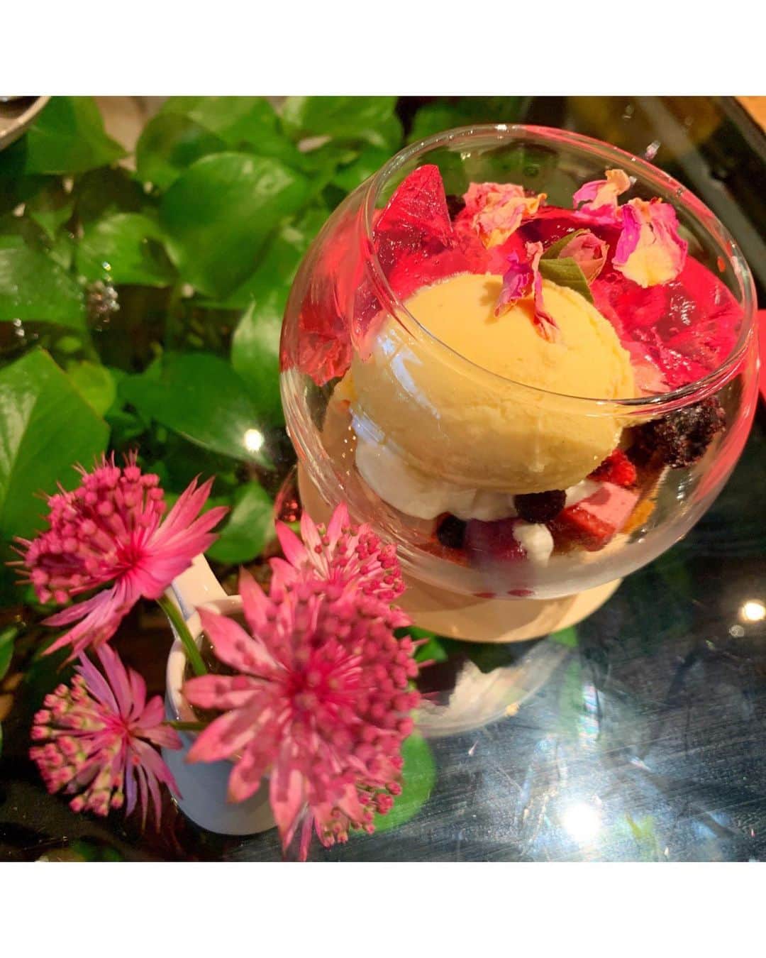 小松彩夏さんのインスタグラム写真 - (小松彩夏Instagram)「﻿ ﻿ ﻿昨日は岩手から旅行中だった母と、叔母3人を連れて大好きな『Aoyama Flower Market TEA HOUSE』へ♡﻿ ﻿ お花に囲まれながらお茶が出来る素敵すぎるスポット。﻿ ﻿ 季節によって色々なお花が楽しめます♡﻿ ﻿ 昨日はピンクのスモークツリーとトルコキキョウがとっても綺麗でした☆﻿ ﻿ ﻿ #青山フラワーマーケット #AoyamaFlowerMarket  #TEAHOUSE #ティーハウス #フラワー #flower #花 #花好き #癒し #青山 #表参道 #カフェ #コマログ﻿」6月25日 22時45分 - official_ayaka_502