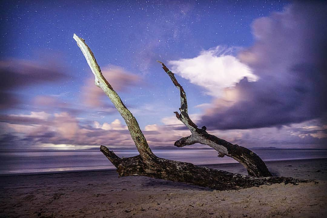 Cory Richardsさんのインスタグラム写真 - (Cory RichardsInstagram)「Night sky. Dead wood. Sea. Andamans, India 2018 @natgeo @natgeotravel」6月25日 22時58分 - coryrichards