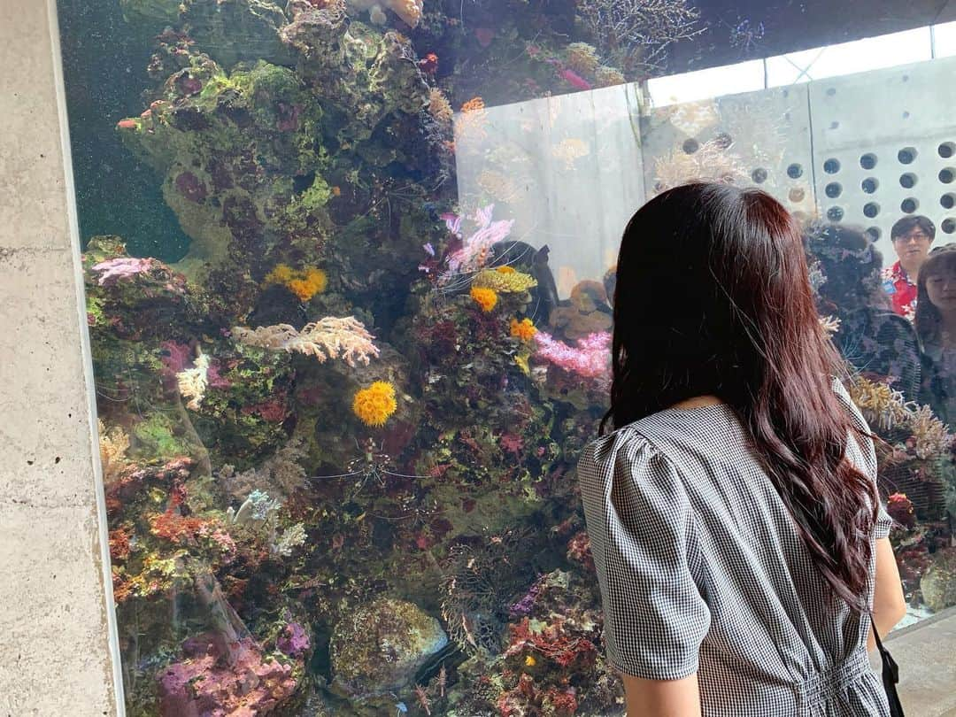 高萩千夏さんのインスタグラム写真 - (高萩千夏Instagram)「＊水族館大好き。 2019/06/25 * * 小さい頃からよくとーちゃんと行ってた いわき市のアクアマリンふくしまです！ * * 入ってすぐある大きな魚の模型。。。 あれが怖くて目を合わせられなかった 今やっと克服できた！成長したな〜。 * * #アプガ2 #アプガ2バスツアー #福島 #ふくしま #いわき #いわき市 #観光 #旅行」6月25日 22時56分 - chinatsu_takahagi_uug2ki