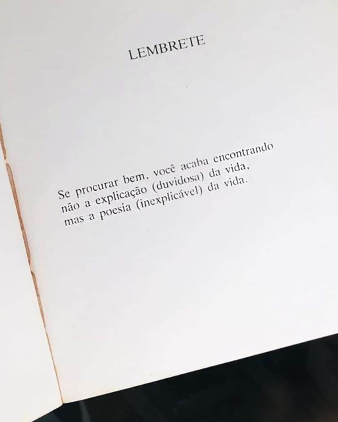 Garotas Estupidasさんのインスタグラム写真 - (Garotas EstupidasInstagram)「*favor n esquecer da beleza do desconhecido 😌 #enjoy #carlosdrummonddeandrade」6月25日 23時02分 - camilacoutinho