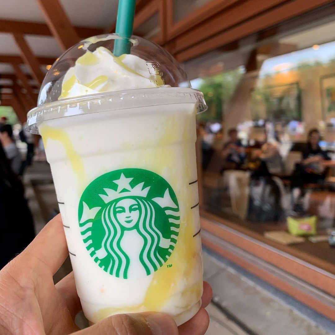 のインスタグラム：「この前これ飲んだ。とっても爽やかなスイーツって感じで美味しかった😆 #starbucks #lemonyoghurtfrappuccino」