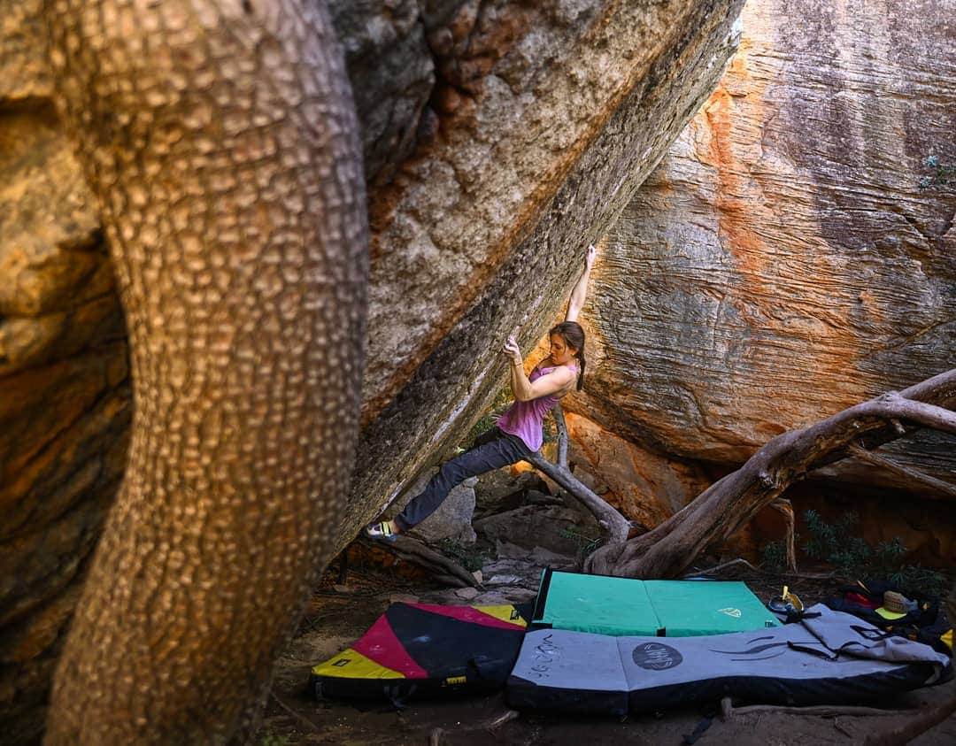 ペイジー・クラッセンのインスタグラム：「We've logged a few days in Rocklands over the last month, and I got to tick the classic Caroline, 7C+/V10. Mere Exposure Effect is going strong between this boulder and its neighboring tree, which is akin to people who resemble their dogs. 📸 Photo by @arjandekock #uncannyresemblance #bouldering #rocklands #rockclimbing」