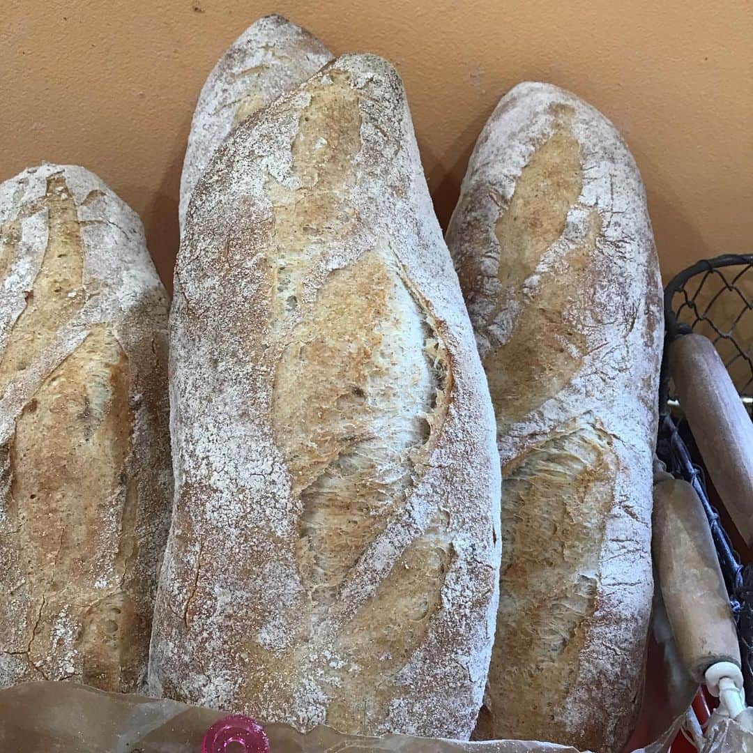 魔女菅原のグルメインスタ