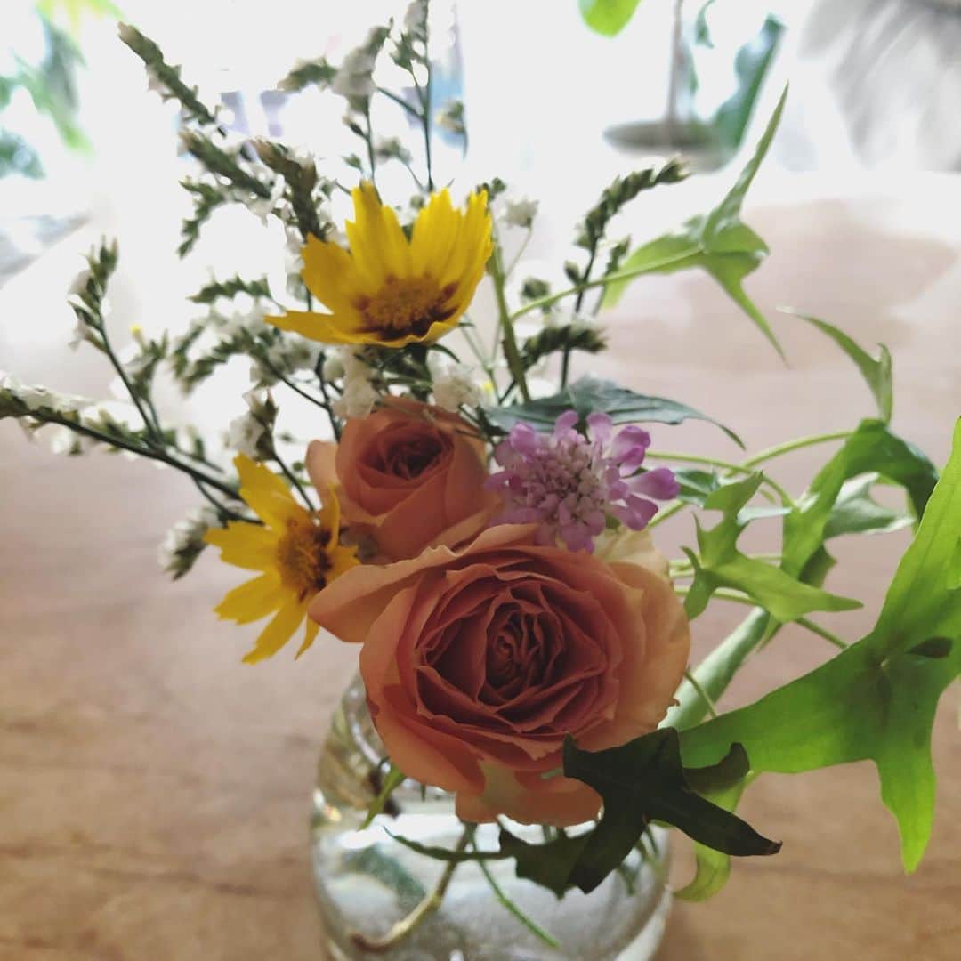 chai0219さんのインスタグラム写真 - (chai0219Instagram)「いいお天気♡ 良い一日となりますように！  #flora #flower #flowers #rose #ローズ #バラ  #ベランダ #ベランダガーデン  #植物 #薔薇 #花  #plants #感謝」6月26日 9時53分 - chai0219
