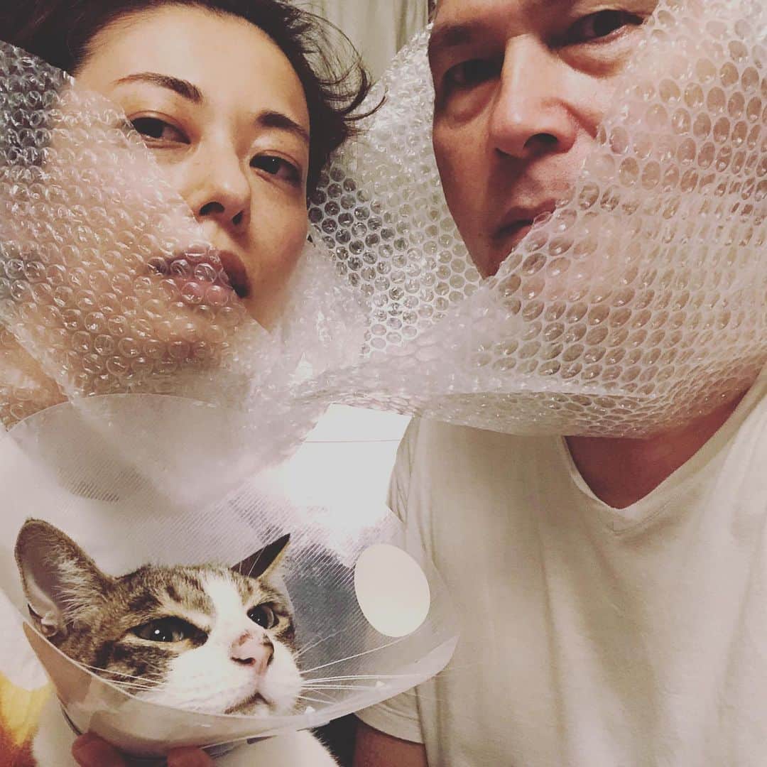 池田有希子のインスタグラム：「家族写真  #catstagram #familyphotography」