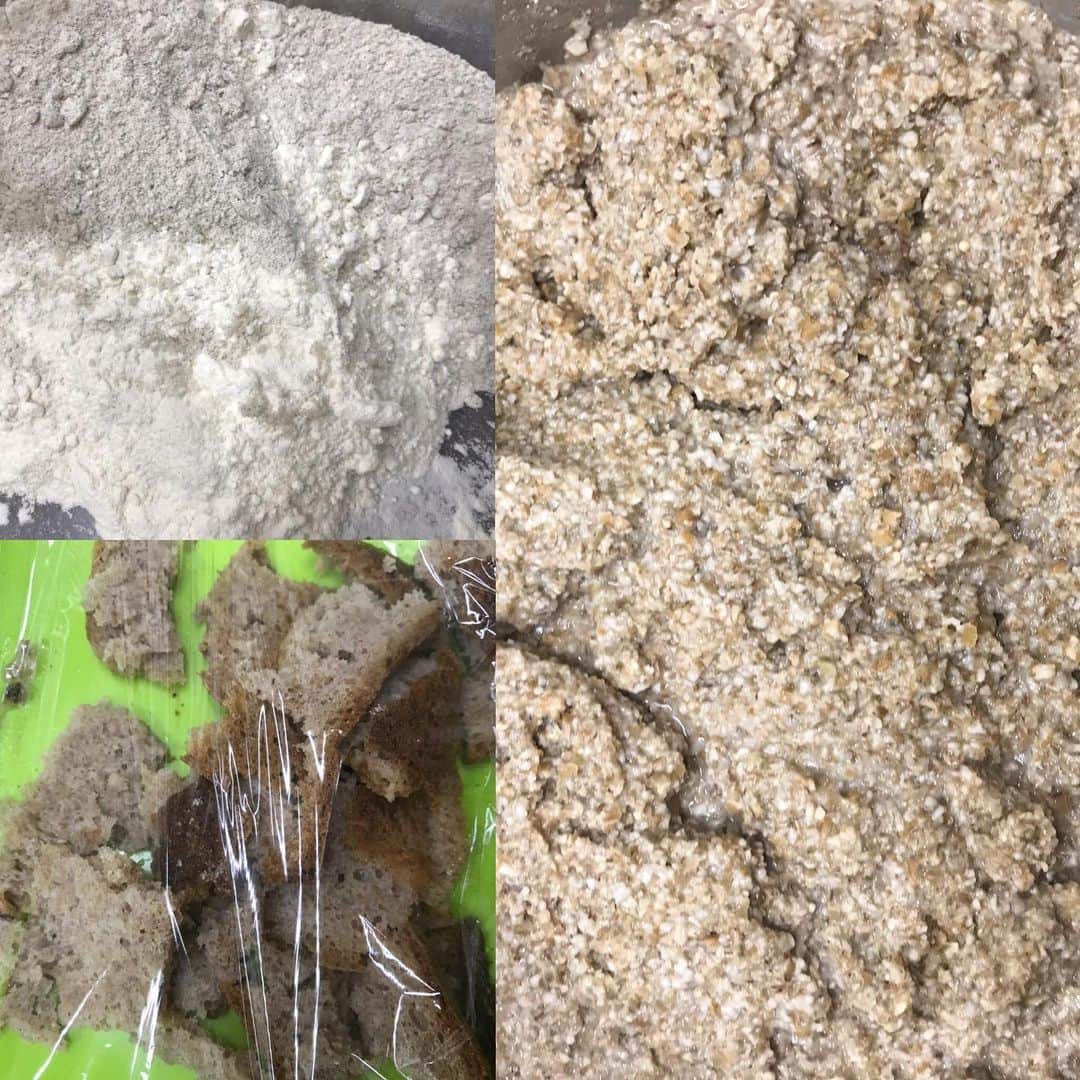 魔女菅原のグルメインスタ