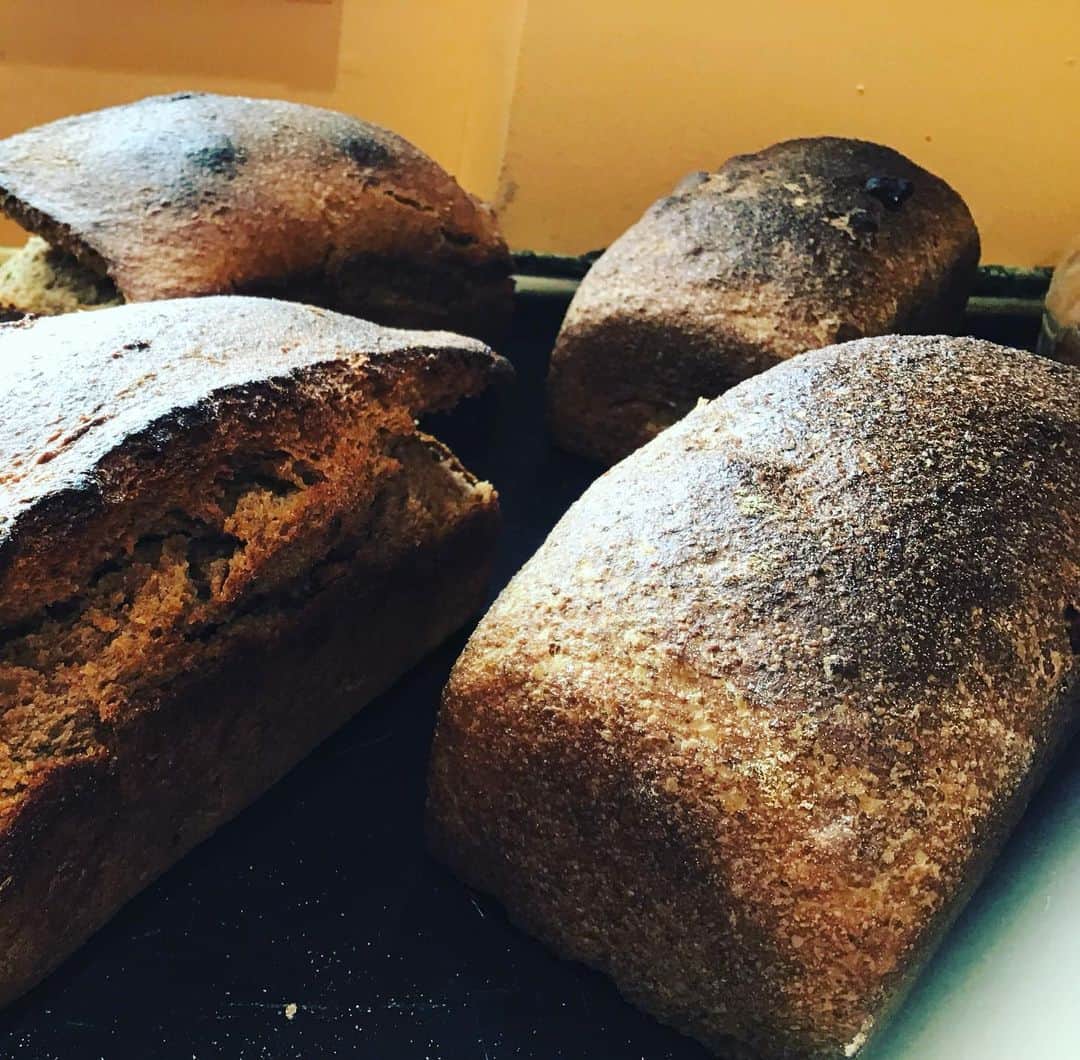 魔女菅原のグルメインスタ