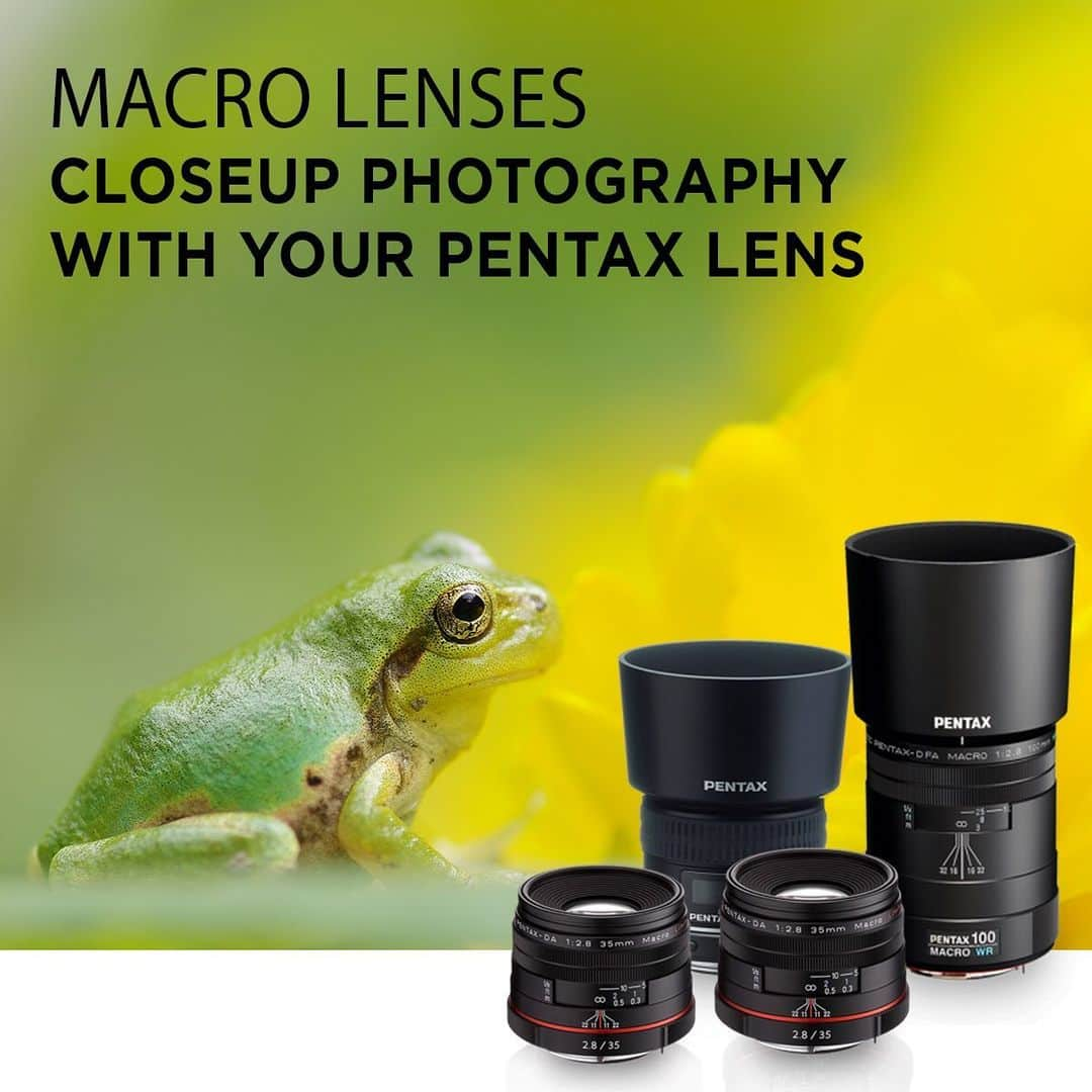 Ricoh Imagingさんのインスタグラム写真 - (Ricoh ImagingInstagram)「Get up close and personal! Purchase a Pentax Macro Lens and get free shipping by using the code FREESHIPPING. #ricohimaging #macrophotography」6月26日 4時47分 - ricohpentax