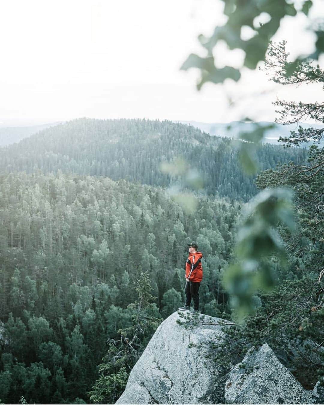 フィンランド政府観光局さんのインスタグラム写真 - (フィンランド政府観光局Instagram)「カレリア地方北部のコリから見える景色は、その木々で覆われた丘でよく知られています。 ． @teemunur さんの写真。Kiitos！」6月26日 5時11分 - visitfinlandjapan