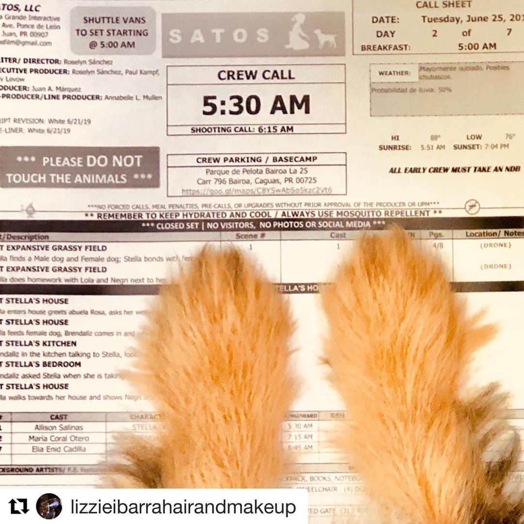 ロゼリン・サンチェスさんのインスタグラム写真 - (ロゼリン・サンチェスInstagram)「💕💕🙌🙌💫🐕🇵🇷 ・・・ Day 2 of 7 🎥 🐶🐾 #hmu #lizzieibarra #lizzieibarrahairandmakeup #roselynsanchez #satosfilm #paulanthonylove」6月26日 5時27分 - roselyn_sanchez