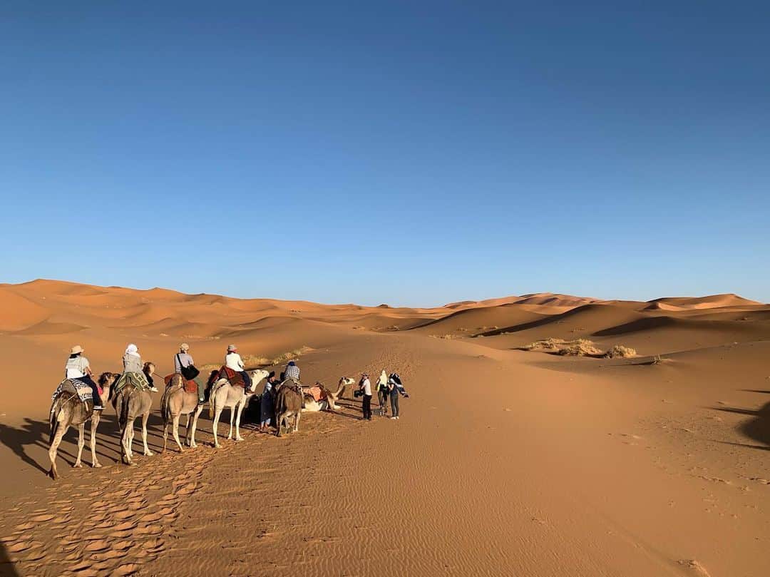 金子貴俊のインスタグラム：「サハラ砂漠 ラクダに乗って🐪 絵になるなぁ〜。 #モロッコ#morocco #saharadesert #アウトドア#outdoor#nature」
