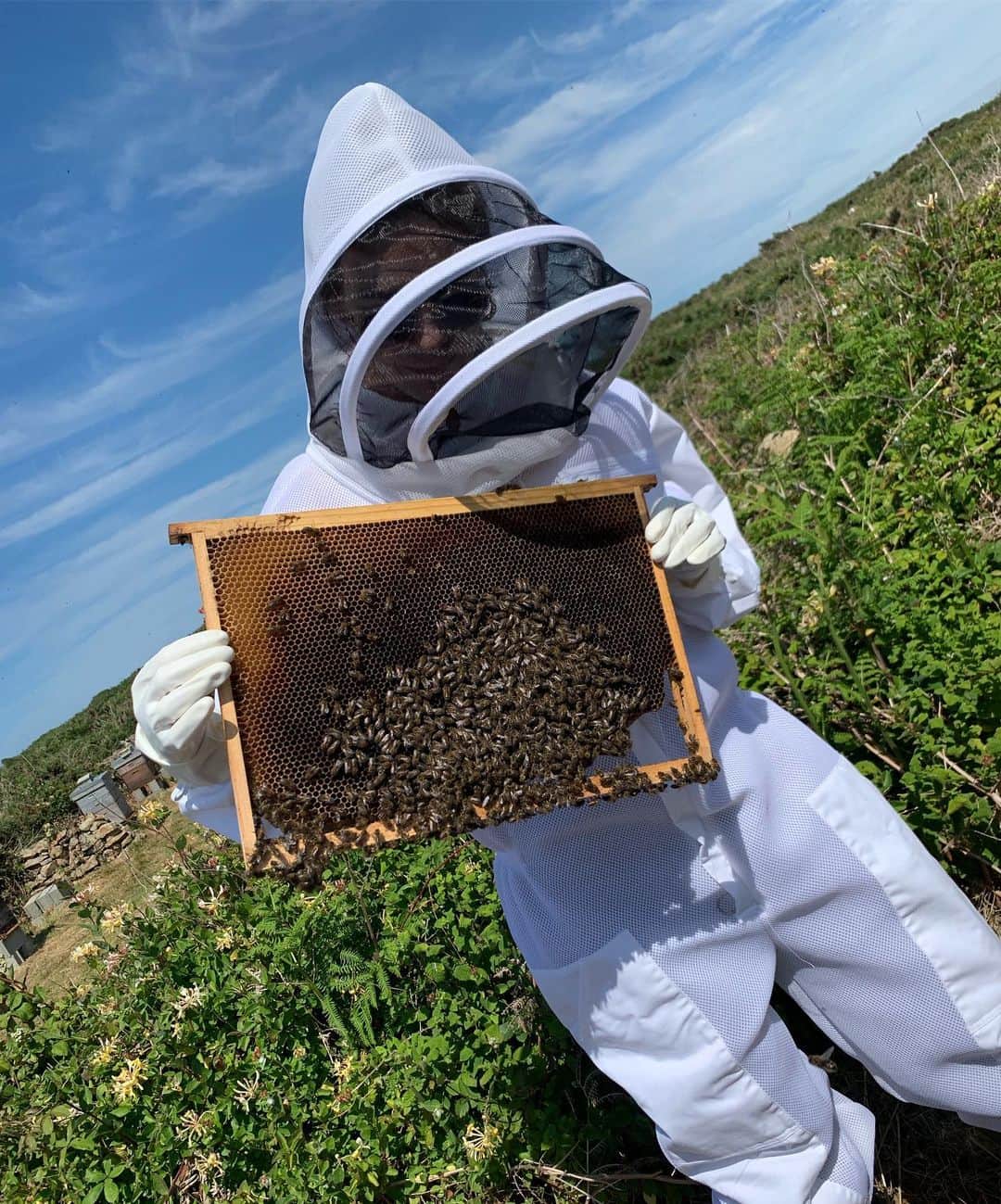 パフ・クオさんのインスタグラム写真 - (パフ・クオInstagram)「今天到了烏埃尚島，了解到嬌蘭怎麼保護黑蜂，如果沒有這些蜜蜂🐝就不會有天然花果，也就沒有蜂蜜了～要保護這群蜜蜂真的很不容易。雖然我們不能變成bee keeper，但我們可以從生活細節開始做起，減少垃圾和塑料的使用，認真做好環保♻️尊重大自然、珍惜愛護地球🌍  Today we are visiting Ouessant Island,through the trip I am aware of that how to Guerlain pretect the Black Bee. Without the bees,we have neither fresh fruit 、vegetable nor honey! It's not easy to pretect bees, although we couldn't become bee keeper,but we could initiate from our everyday's life:reduce trash and plastic,devote to sustainability,respect the nature and treasure our earth.🌍🐝 #beerespect  #guerlain  #guerlainforbees #ouessant  @guerlain」6月26日 6時44分 - aohsuehfu