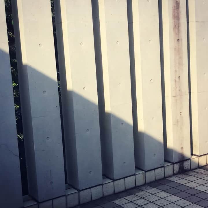 北山陽一のインスタグラム：「烏だった。けど…？」
