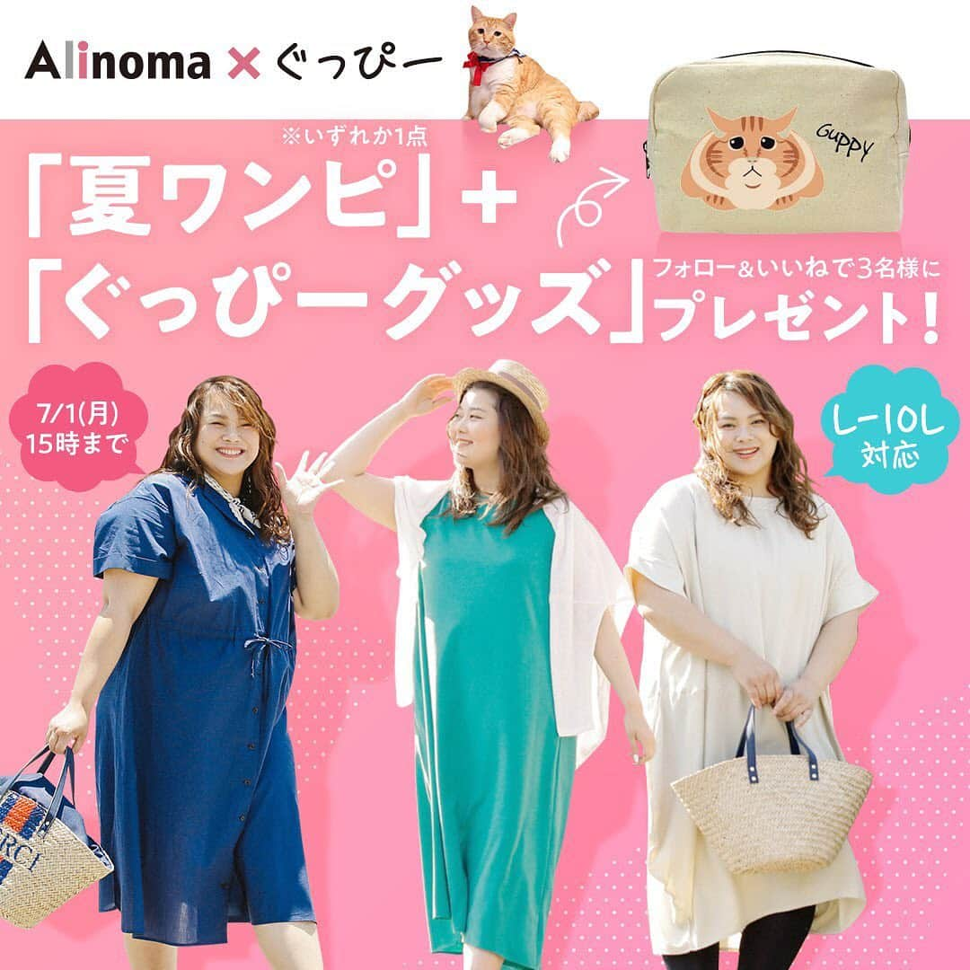 Alinoma公式のインスタグラム