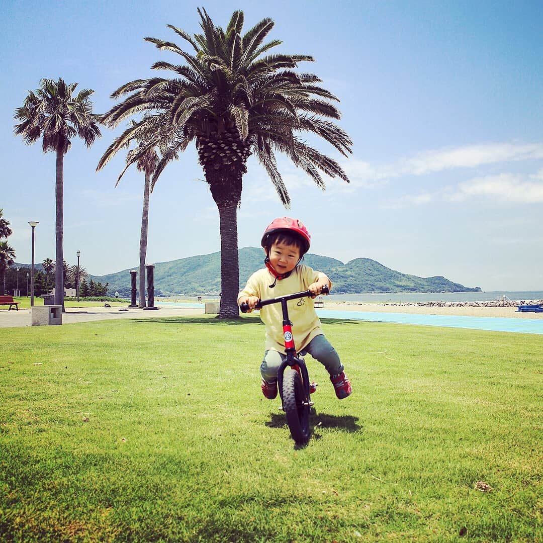 愛知県田原市さんのインスタグラム写真 - (愛知県田原市Instagram)「I can go anywhere. どこだっていけちゃうよ！  #ストライダー#散歩#雨が降る前に#元気いっぱい#遊ぼうね#梅雨明け待ち#もうすぐ夏！#白谷海浜公園#ハワイじゃないよ#タハラだよ #たはら暮らし * #渥美半島#田原市#田原#伊良湖岬#伊良湖#赤羽根 #tahara#irago#akabane #サーフィン#surfing#田舎暮らし#日々の暮らし#休日の過ごし方#スローライフ#instagramjaran#igersjp」6月26日 8時41分 - tahara_kurashi