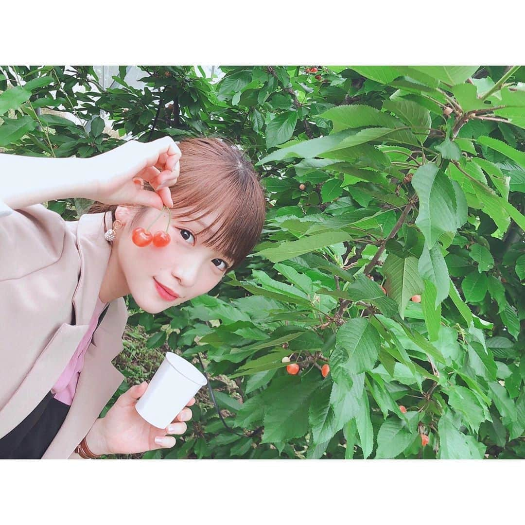 川栄李奈さんのインスタグラム写真 - (川栄李奈Instagram)「お友達が提案してくれて 人生初のさくらんぼ狩り✌︎ おいしたのしい 撮影現場にはたくさんのフルーツ🍎🍒 カッティング美しいですっ！」6月26日 20時31分 - rina_kawaei.official