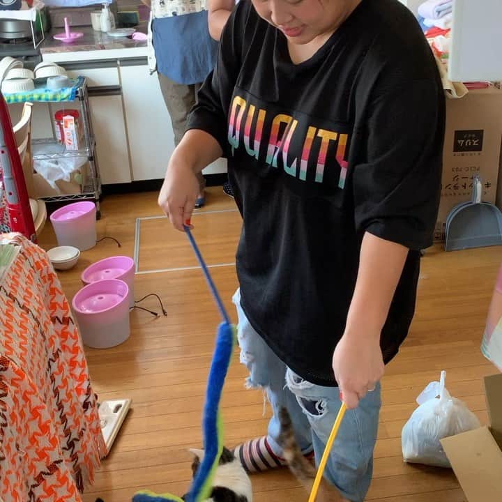 マービンJr.のインスタグラム：「今日はサンシャイン池崎さんと猫の森さんへ行ってからパワースポット神社行って食べログ全国2位のカレー食いに行きました！最高！ #猫活 #猫の森 #神社 #パワースポット #夫婦欅 #1人で撮ると寂しさ激増 #カレーが美味いのなんの #結局バターチキン #蜂蜜が合う #池崎さんご馳走様です #充実した1日」