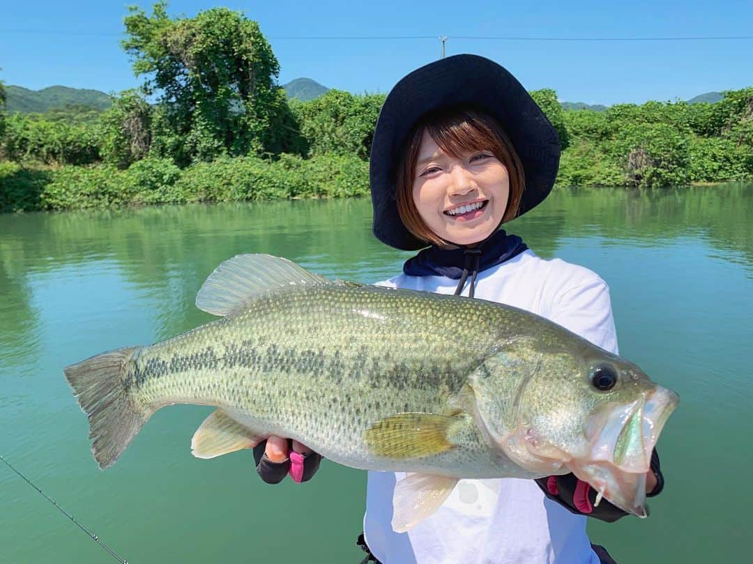 秋丸美帆さんのインスタグラム写真 - (秋丸美帆Instagram)「梅雨入り前の一本☀️ たまらんね〜😋😋😋 . #tokushima #river #bass #blackbass #bassfishing #fishing #lure #lurefishing #四国 #徳島 #バス釣り #釣り #バス #ルアーフィッシング #ブラックバス #旧吉野川」6月26日 19時06分 - mippy34