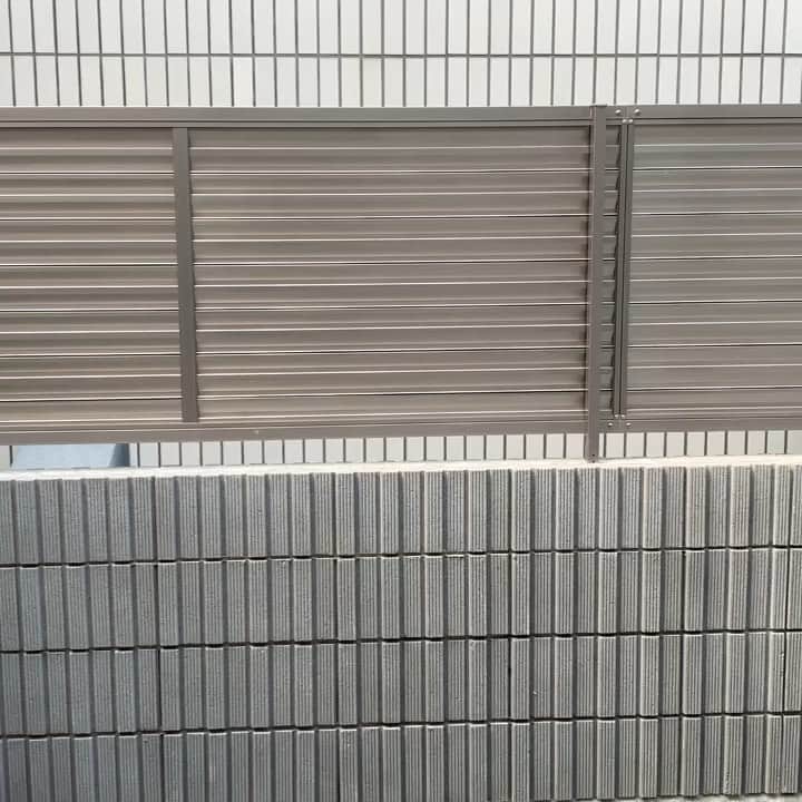 イッシーのインスタグラム