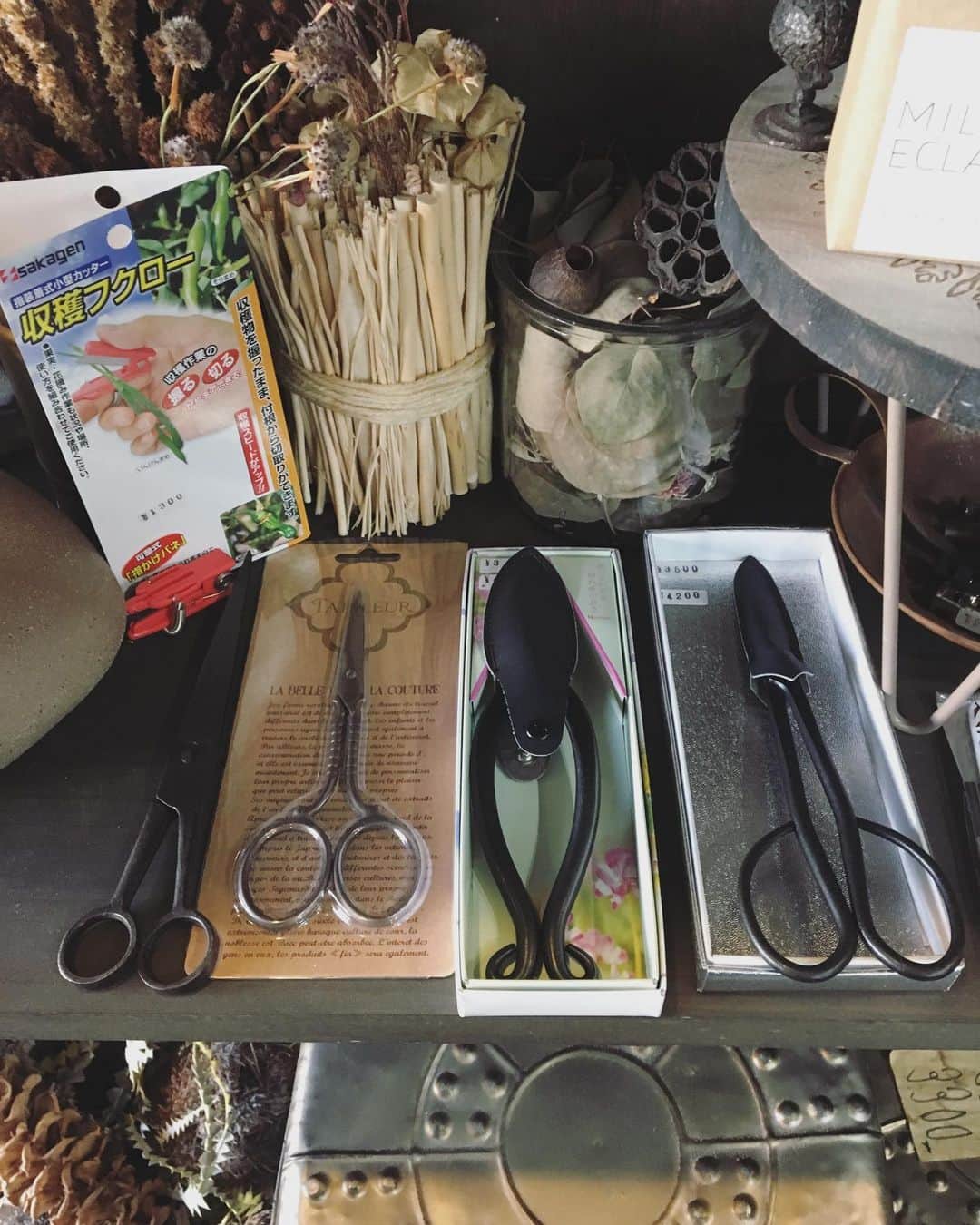 MILLE ECLAT.のグルメインスタ