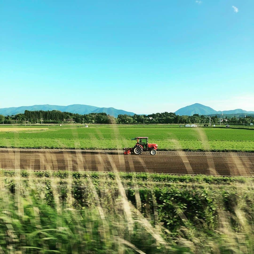 吉川正洋さんのインスタグラム写真 - (吉川正洋Instagram)「こまちからの風景、大好きです！」6月26日 19時29分 - dhyoshikawa