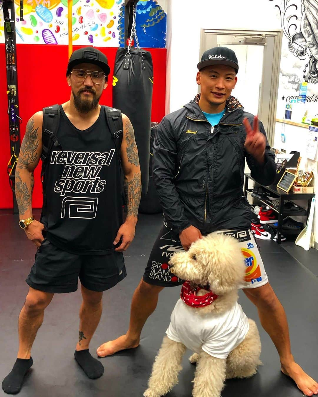 大澤茂樹さんのインスタグラム写真 - (大澤茂樹Instagram)「Thank you for your training. #MMA #DEEP90 #GYM #Roppongi #Tokyo #reversal #rvddw」6月26日 19時23分 - shigeki_osawa