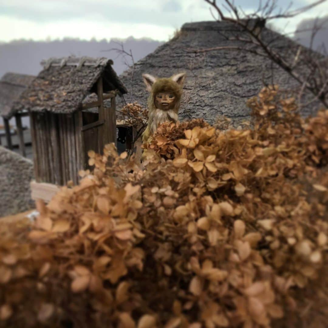 合田経郎のインスタグラム：「ごんに会いにTECARATさんにきたよ。 名作の予感！ #ごん #ごんぎつね #tecarat」