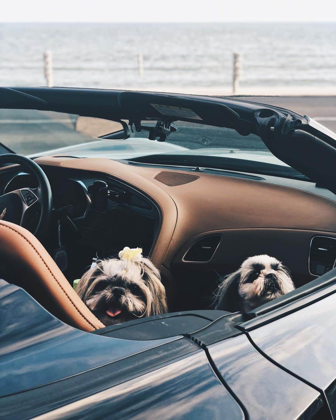 伊東大輝のグルメインスタ