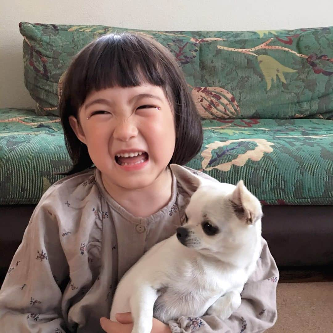 *yoko*さんのインスタグラム写真 - (*yoko*Instagram)「◇2019.6.26 wed. ・ 成長したマルと心乃。 愛情は心乃の方がだいぶ大きいけど、仲良しな2人♡ ・ ほんで、保育園で自分達でおにぎり🍙作る日やってんけど、 先生から「みんなお星さまの形とかハートの形を作って美味しく食べました～」って聞いたし、ワクワクしながら心乃はどんなん作ったん？って聞いたら、 「卵焼きみたいな形のと、ウインナーをベタ！って潰したような形の」って😳🍙 すごいの作ったな。笑 手でどんなんか形やったか表してくれてんけど、両方とも一緒の形やったわ。笑 ・ @moomo9112  たった5分でツルツル✨ ・ #5歳#5歳6カ月 #動く心乃シリーズ」6月26日 20時24分 - yococono