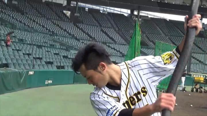 阪神タイガースのインスタグラム