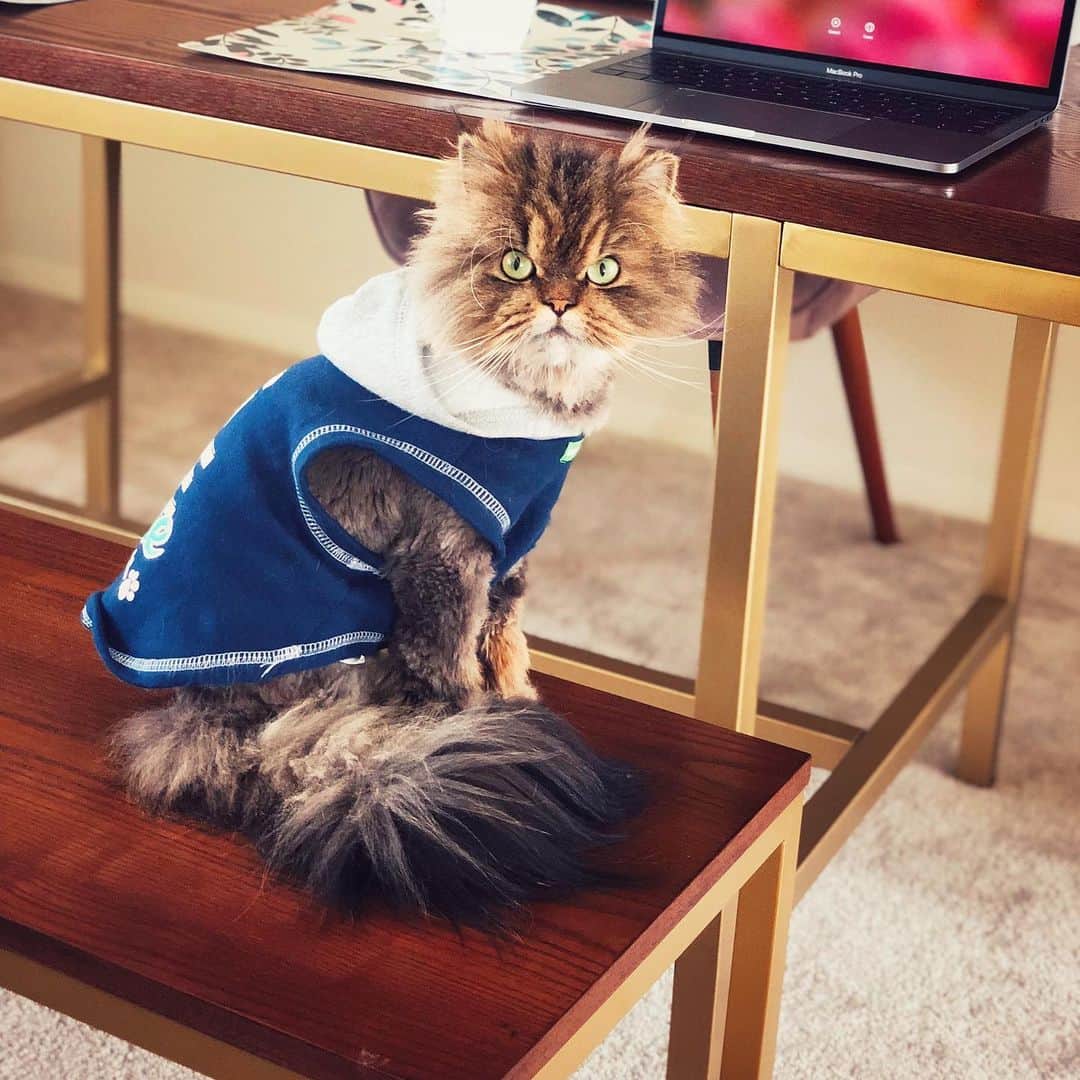 のインスタグラム：「Hoody szn 💃🏼」
