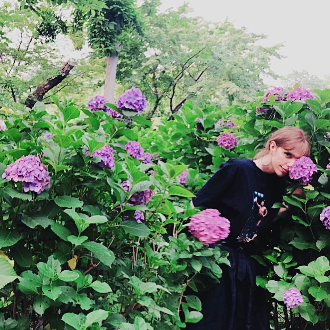 IVANさんのインスタグラム写真 - (IVANInstagram)「* 💜🌿👾🍀💜🍀👾🌿💜 Hydrangea n me 🤗💕💕 * 紫陽花 * #hydrangea#flower#june#love#japan #紫陽花 #紛れてみました #梅雨季唯一の楽しみ紫陽花 #最近花の間からといえばユカマンナミ @yuka 😂😂💓💓💓」6月26日 12時32分 - fresanaca