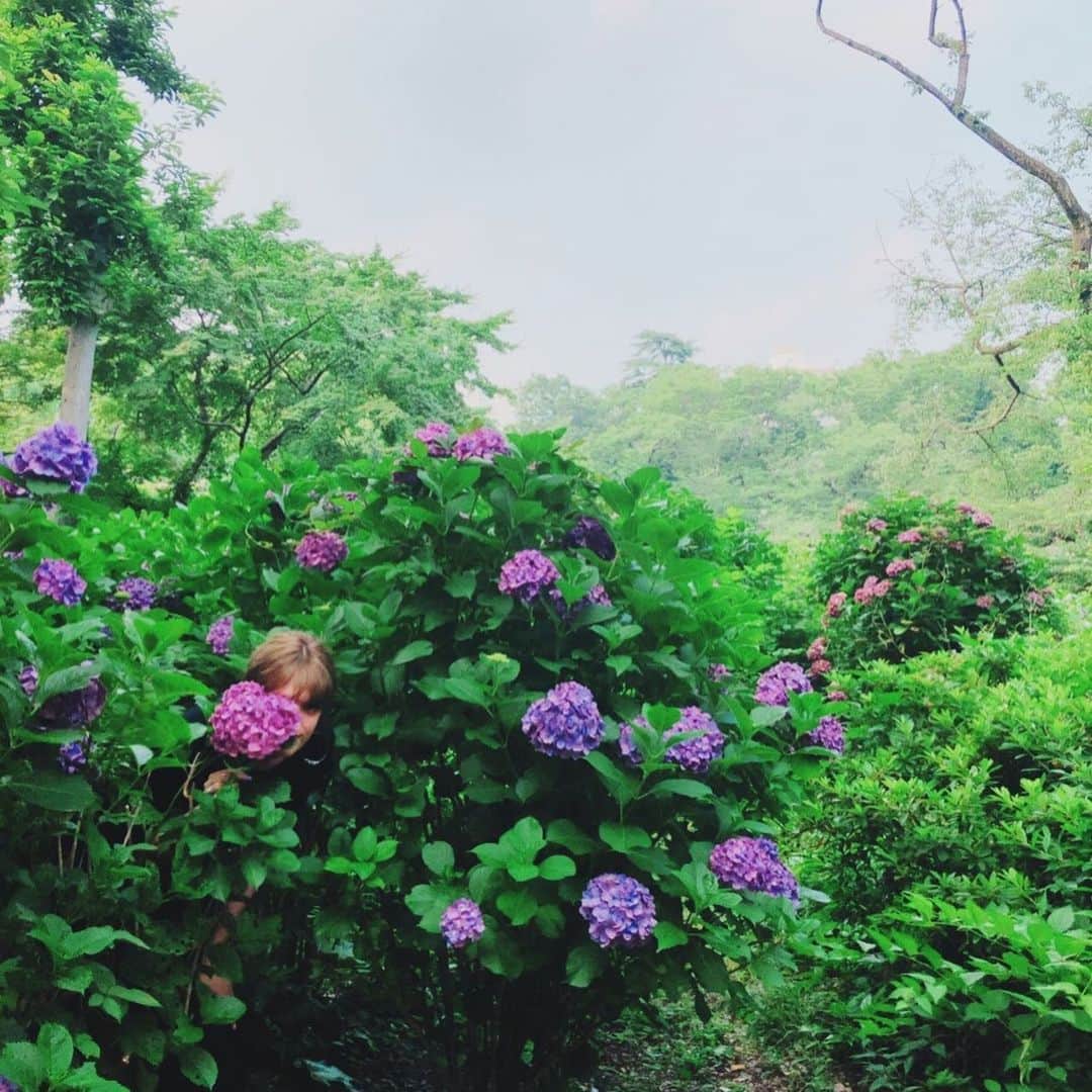 IVANさんのインスタグラム写真 - (IVANInstagram)「* 💜🌿👾🍀💜🍀👾🌿💜 Hydrangea n me 🤗💕💕 * 紫陽花 * #hydrangea#flower#june#love#japan #紫陽花 #紛れてみました #梅雨季唯一の楽しみ紫陽花 #最近花の間からといえばユカマンナミ @yuka 😂😂💓💓💓」6月26日 12時32分 - fresanaca