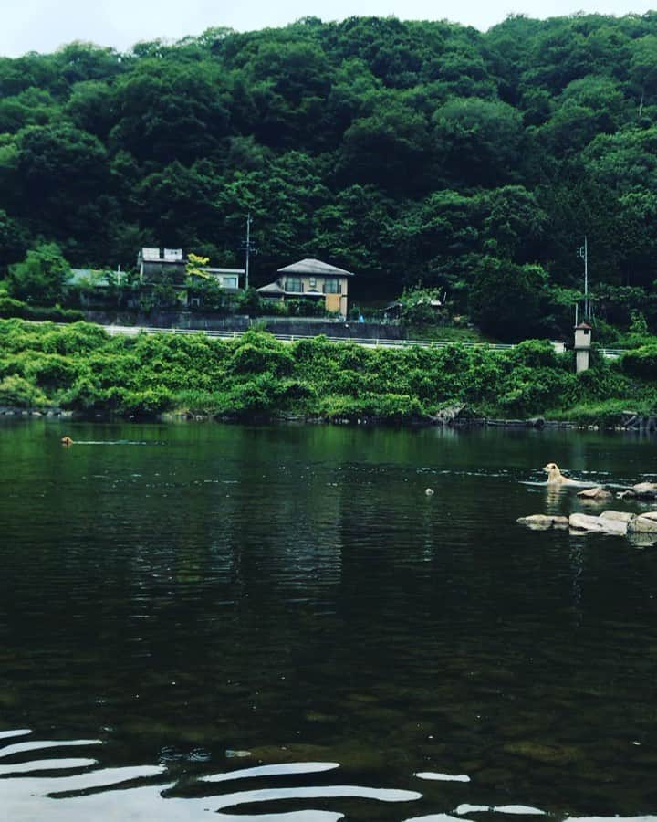 三宅洋平のインスタグラム