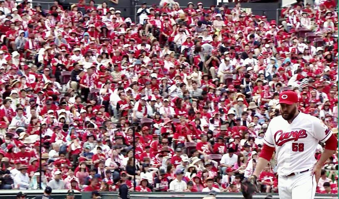 のインスタグラム：「sea of red」