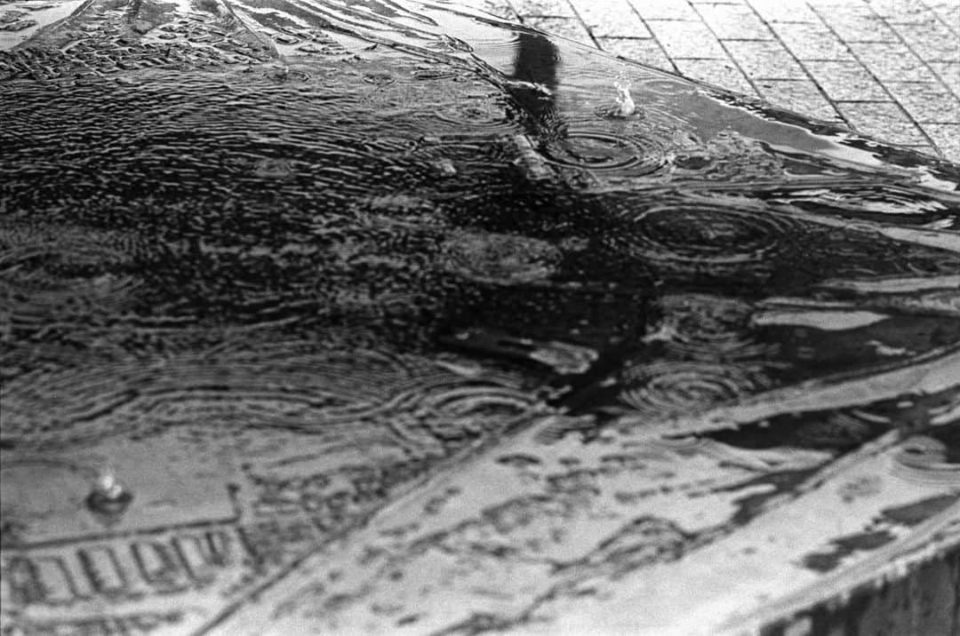 田島貴男さんのインスタグラム写真 - (田島貴男Instagram)「雨の日のスナップ2 #フィルムカメラ #nikons2 #nikkorp105f25  #trix400 #自家現像」6月26日 13時42分 - tajimatakao