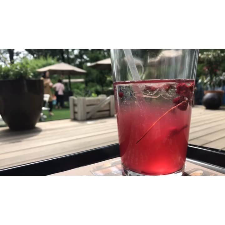のインスタグラム：「. 綺麗なオミザエイド😍🌹 예쁜 오미자에이드😍🌹 Beautiful schosandrafruit ade 😍🌹 #オミジャ#五味子#韓国カフェ#오미자#카페#카페스티그램#schosandrafruit#cafe」