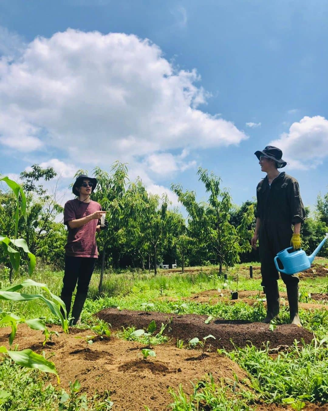 Shogoさんのインスタグラム写真 - (ShogoInstagram)「三豊茄子植えて、ベビーコーン収穫したがね！  焼いたらドラうまかったがや！  #脳宴 #三豊茄子 #ベビーコーン #パクチーチャンス継続中 #velbed農園」6月26日 15時39分 - shogo_velbed