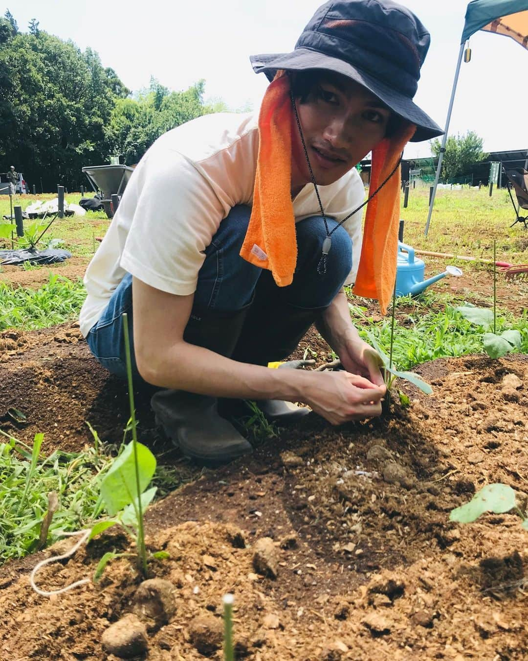 Shogoさんのインスタグラム写真 - (ShogoInstagram)「三豊茄子植えて、ベビーコーン収穫したがね！  焼いたらドラうまかったがや！  #脳宴 #三豊茄子 #ベビーコーン #パクチーチャンス継続中 #velbed農園」6月26日 15時39分 - shogo_velbed