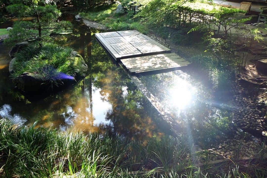 のインスタグラム：「. 最近は天気が良ければ、 カメラを持ってお出かけします📸  光と影を意識してシャッターを切る。 まだまだ研究は続きます…👓✨ .  #camera #photo #fujifilm」