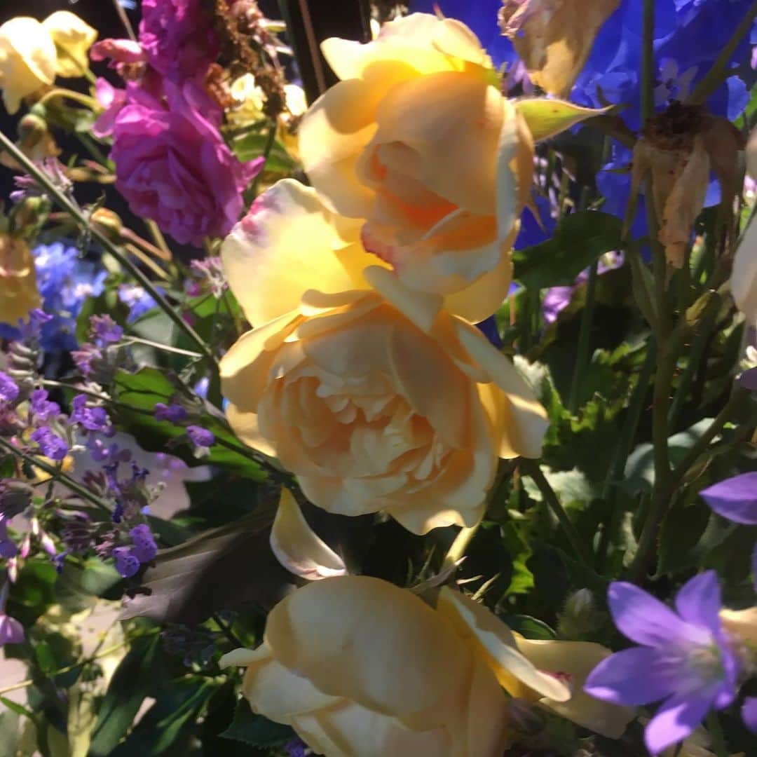 ドリス・ヴァン・ノッテンさんのインスタグラム写真 - (ドリス・ヴァン・ノッテンInstagram)「Flowers from the garden #driesvannoten #flowers #garden」6月26日 16時22分 - driesvannoten