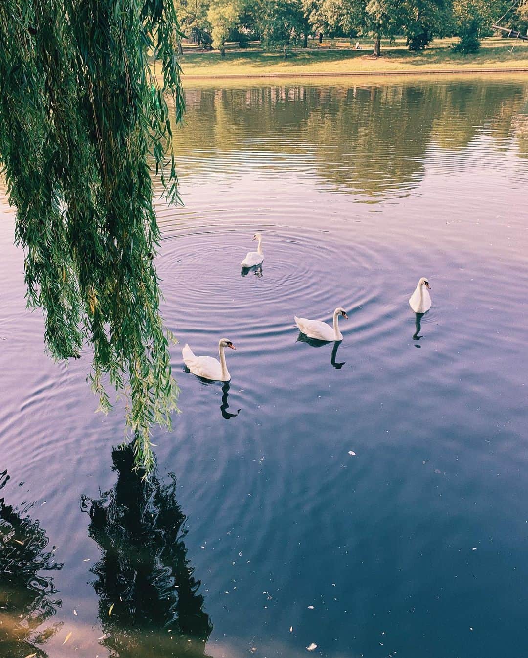 STIL IN BERLINのインスタグラム：「Stay hydrated, friends. #kreuzberg」