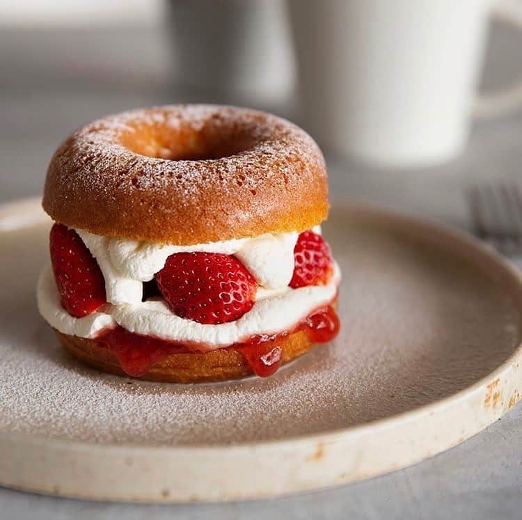 コエのグルメインスタ