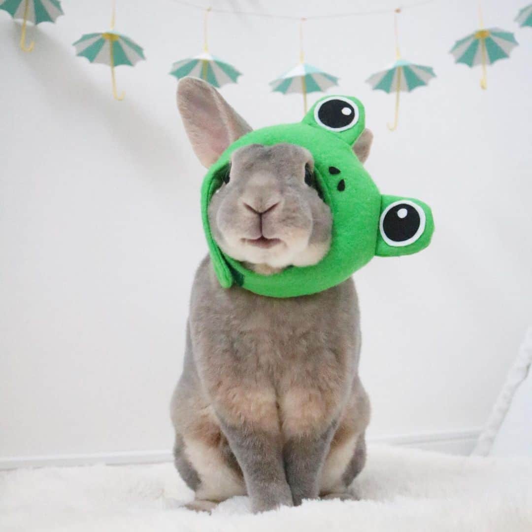 Kayoのインスタグラム：「今年の梅雨🐸 長いし、雨多すぎー 今日はマジ嵐な大雨で止まらない偏頭痛‥ はよ梅雨明けてくださーい。」