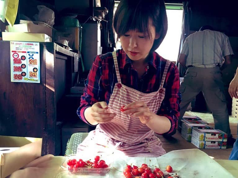 片桐千晶さんのインスタグラム写真 - (片桐千晶Instagram)「⁑ せっかく旬の時期なので、知り合いの農家さんにお邪魔してさくらんぼの箱詰め作業を初体験🍒 傷と色ムラをチェックして、サイズを測ってランク分け。ずーっと座りっぱなしの作業。こりゃ大変だ🤣 . でもお母さんたちと喋りながらだと楽しい✨つられて私もいつもより多めに訛っております😙 . ‪たくさんもらって食べきれないさくらんぼはジャムに。 木べらで混ぜながら弱火でことこと。 砂糖を入れなくても甘くて美味しい😚 ‪. #山形弁 #さくらんぼ #寒河江 #お母さんたちのトークスキルが高い」6月26日 17時10分 - chiaki.katagiri333