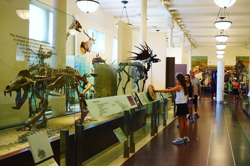 アメリカ大使館さんのインスタグラム写真 - (アメリカ大使館Instagram)「ニューヨーク🗽の街を訪れるなら地下鉄Ⓜ️を上手に利用するととっても便利！ 地下鉄から直ぐのアメリカ自然史博物館は、駅のサインに沿って進めば直ぐ到着〜 このアメリカ自然史博物館は、恐竜🦕🦖コレクションでも超有名。 🎬ハリウッド映画の舞台にもなってます。 是非一度行ってみてくださいね🤠 . #us #usa #america #nyc #museum #studyabroad #subway #metro #station #natural #history #dinosaur #movie #hollywood #travel #アメリカ #留学 #自然史博物館 #恐竜 #映画 #地下鉄 #駅 #観光 #海外生活 #勉強 #自由研究 #dc」6月26日 17時18分 - usembassytokyo