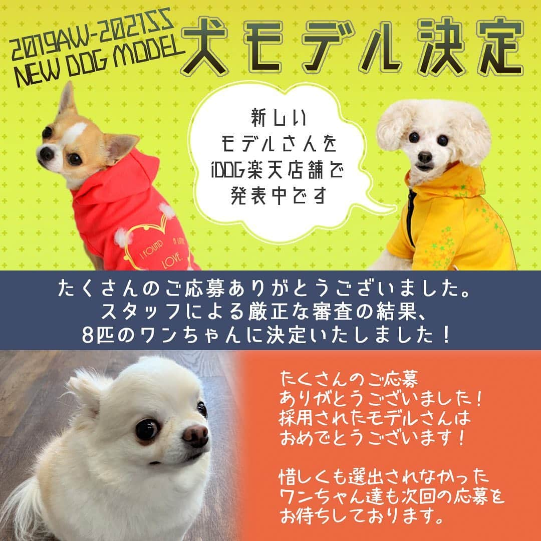 iDog&iCatのインスタグラム